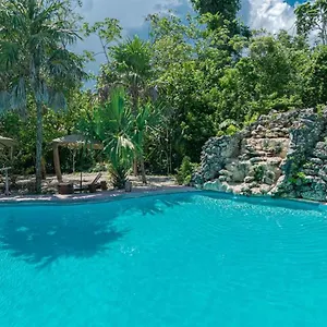 Jolie Jungle Eco - Ruta De Cenotes Hotel Leona Vicario